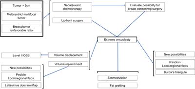 Extreme oncoplasty: past, present and future